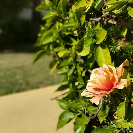 Del Parque Flats Picasso Townhouse Vakantiehuis *